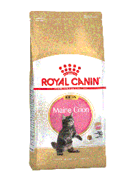 ROYAL CANIN MAINE COON KITTEN (Роял Канин Киттен Мейн кун)